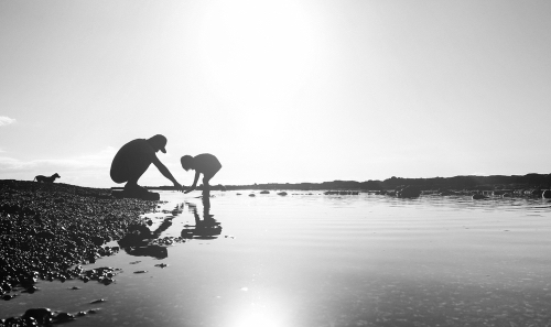 Silhouette of father and son playing on the beach at the sunset time - People having fun on summer vacation with their dog - Love, fatherhood and family concept
