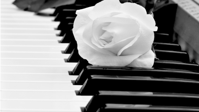 Rose and piano